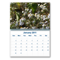Calendars - Wall Calendars - Wall